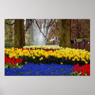 Póster jardins amarelos de Keukenhof, Amesterdã, Países B