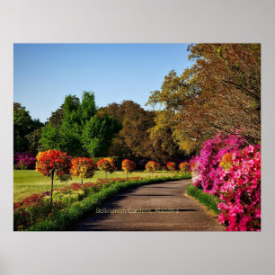 Poster Jardins Bellingrath, Alabama