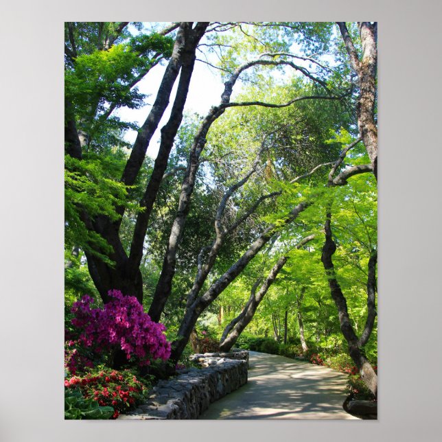 Póster Jardins Botânicos, Caminho, Árvores Mapeadas (Frente)