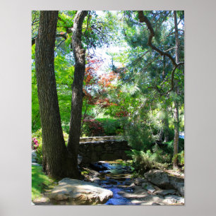 Póster Jardins botânicos, córrego, passadiço