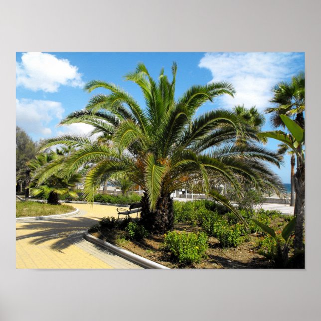 Poster Jardins de Puerto Banus (Frente)