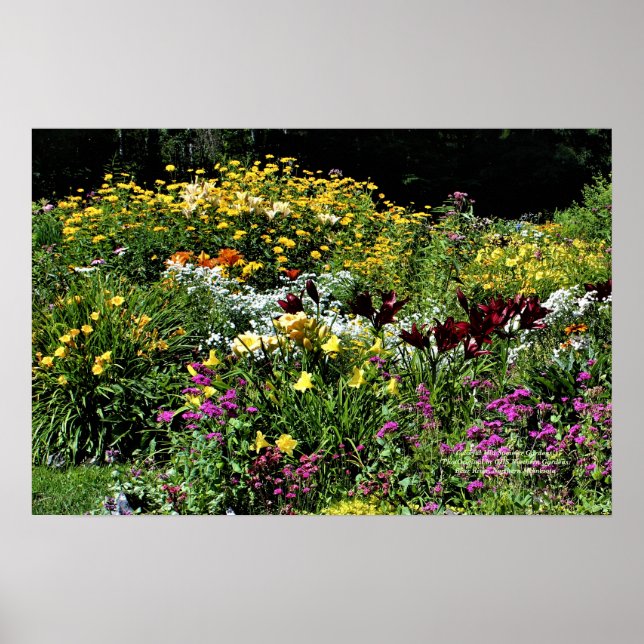 Poster Jardins de Verão de Médio coloridos! (Frente)