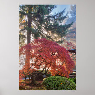 Póster Jardins Japoneses No Outono De Portland, Oregon 6