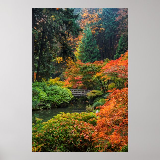 Poster Jardins Japoneses No Outono Em Portland, Oregon 5 (Frente)