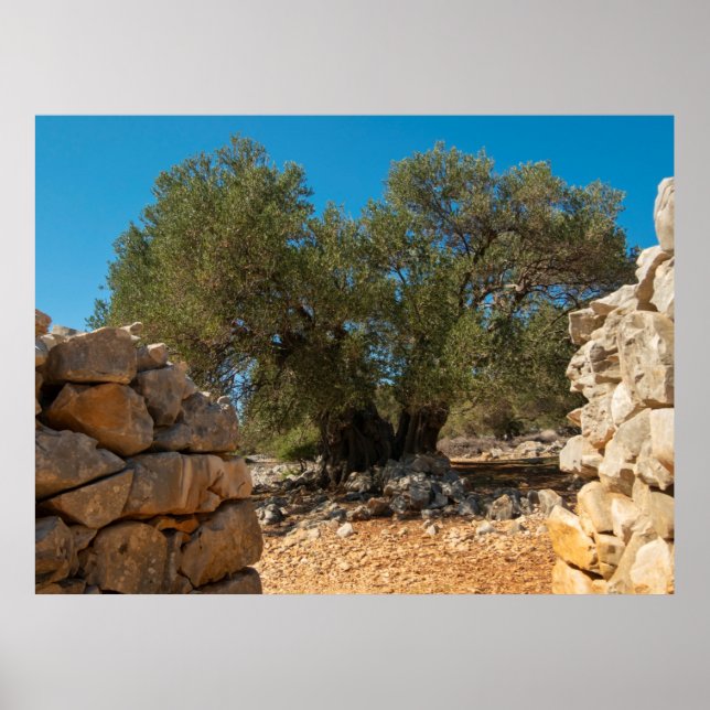 Poster Jardins Olivais de Lun (Frente)