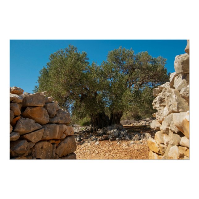 Póster Jardins Olivais de Lun (Frente)