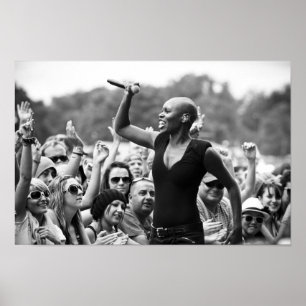 Poster Jaritataca Anansie em V