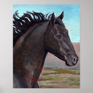 Póster Jato: Garanhão da banda da bacia de lavagem da