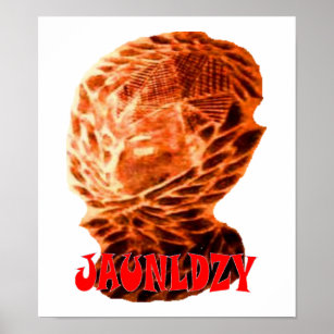 Poster Jaunldzy