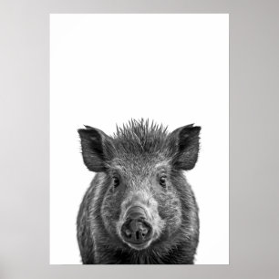 Poster Javelina Peccary porco Deserto Retrato preto branc