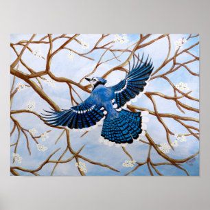 Póster Jay azul crescente