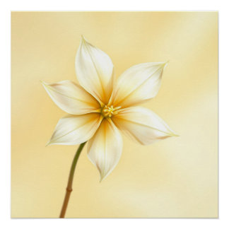 Póster jazmine flower