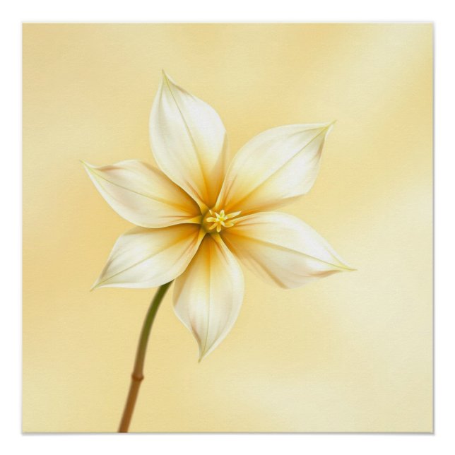 Póster jazmine flower (Frente)
