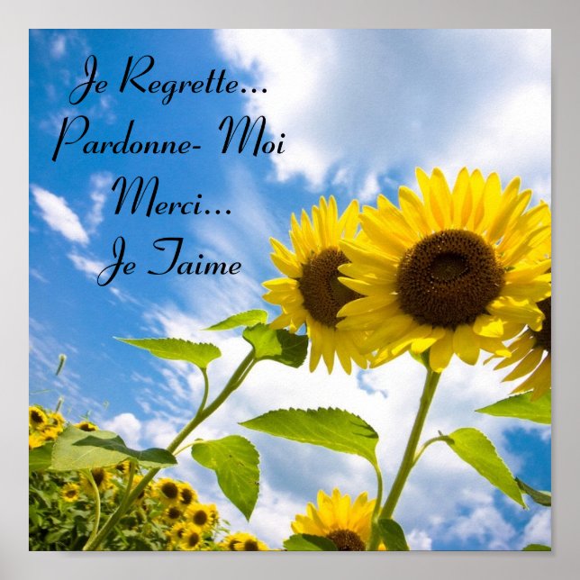 Poster Je Regrette... Pardonne-Moi, Je Taime (Frente)