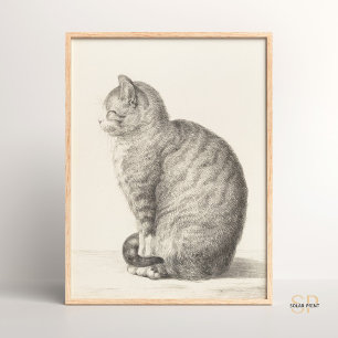 Poster Jean Bernard Sitting Cat Animal Fine Art Artifício