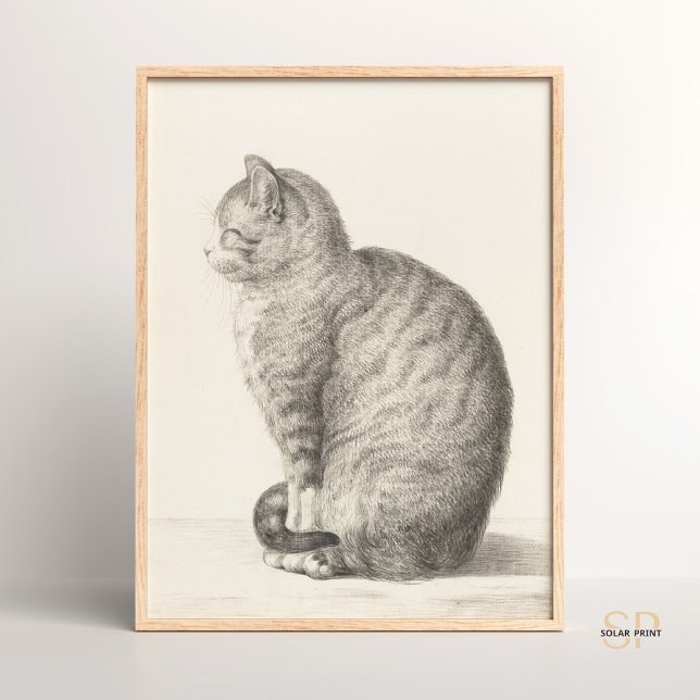 Poster Jean Bernard Sitting Cat Animal Fine Art Artifício (Criador carregado)