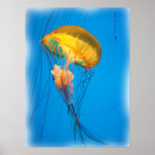Poster jelly_2646_Paint