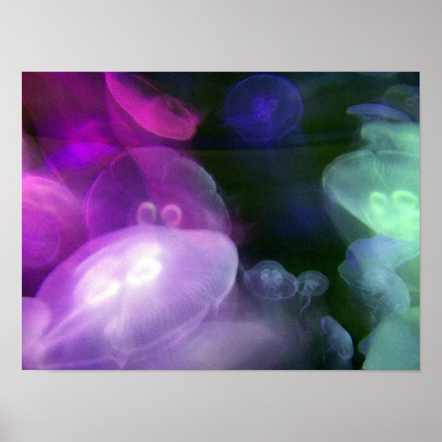 POSTER JELLYFISH (Frente)