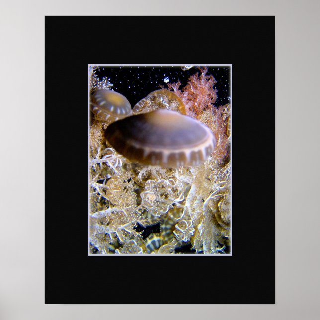 Poster Jellyship (Frente)