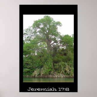 Póster Jeremiah 17:8