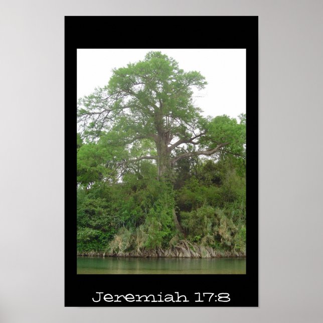Póster Jeremiah 17:8 (Frente)