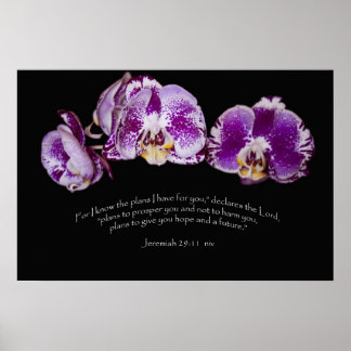 Poster Jeremiah 29:11