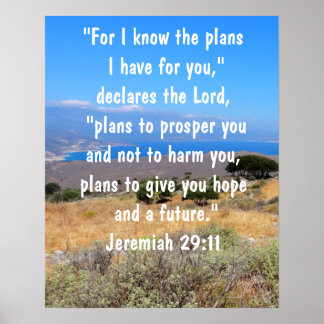 Poster Jeremiah 29:11 Deus planeja Bíblia Verse Vibrant