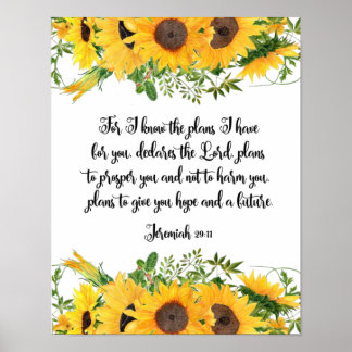 Poster Jeremiah 29:11 Eu sei os planos que tenho para voc