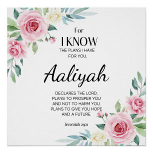 Póster Jeremiah 29:11 Rosa Rosa Personalize