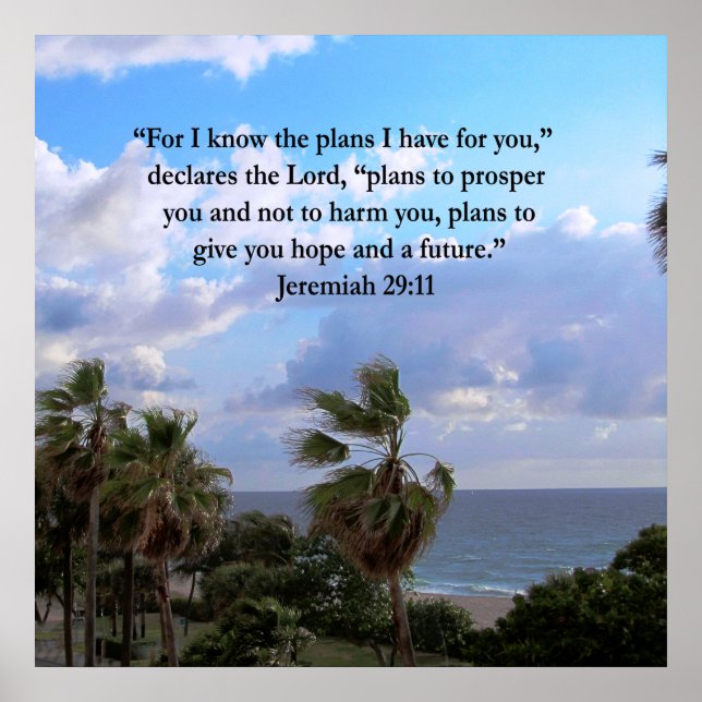POSTER JEREMIAH 29:11 VERSO INSPIRATIVO (Frente)