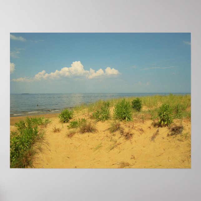 Poster Jersey Shore 2 (Frente)