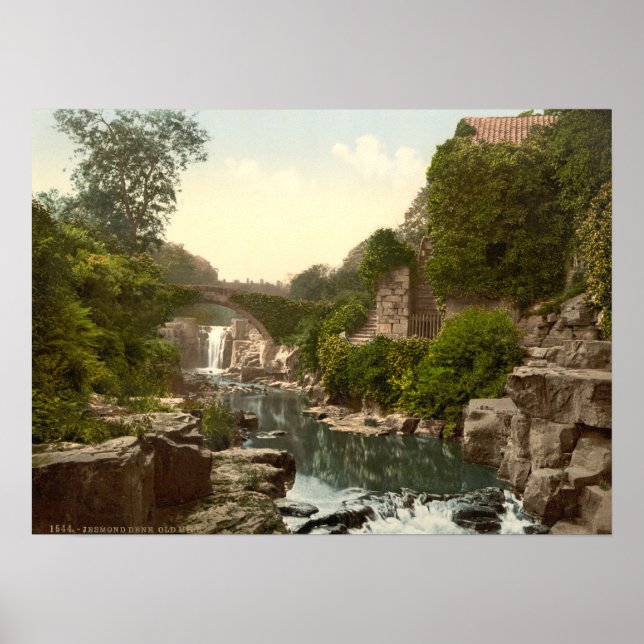 Poster Jesmond Dene II, Newcastle-upon-Tyne, Inglaterra (Frente)