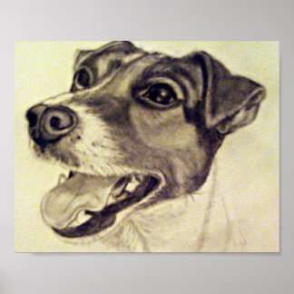 Póster Jester, o Jack Russell Terrier