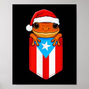 Poster Jibaro Coqui Sapo Porto Rico Bandeira Boricua Cket
