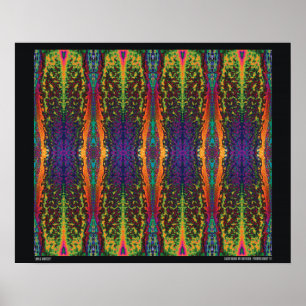 Póster "Jimi arte psicadélico abstrata de Monterey"