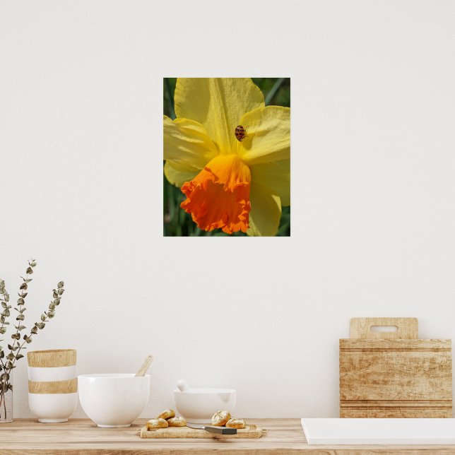 Poster Joaninha em Flor de Narciso Amarela Floral (Cozinha)