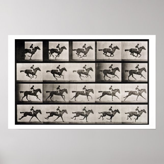 Póster Jockey em um cavalo galopante, prato 627 de Anima (Frente)