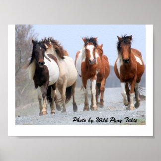 Póster Jogadores felizes