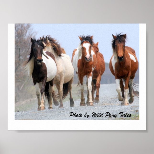 Póster Jogadores felizes (Frente)