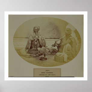 Poster Jogis ou encantadores de cobra, baixa casta Hindus