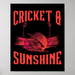 Poster Jogo de Críquete Esportes Jogador de Críquete Críq