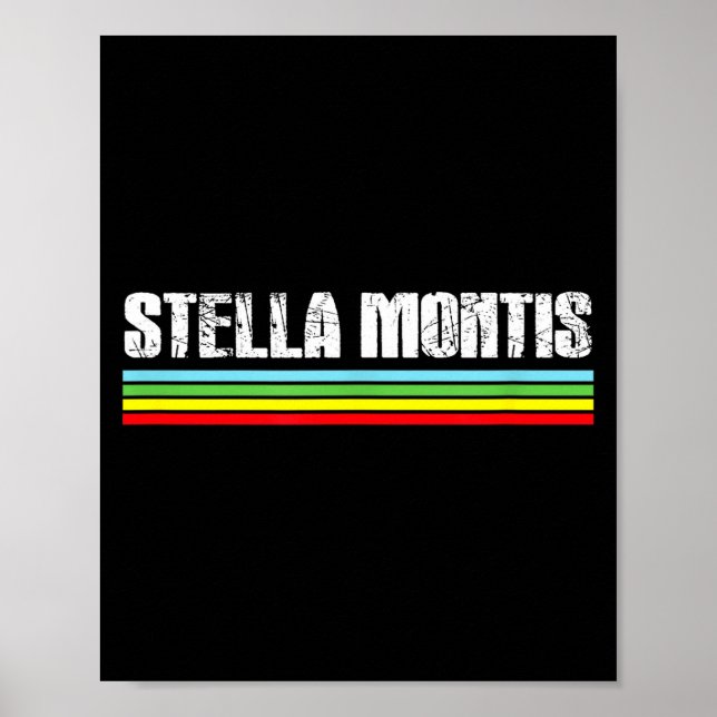 Poster Jogo de Mapa Stella Montis Esrts (Frente)