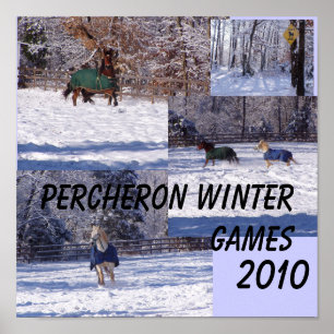 POSTER JOGOS DO INVERNO DE PERCHERON, 2013