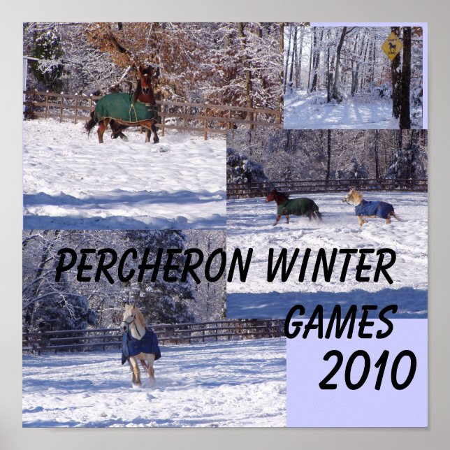 POSTER JOGOS PERCHERON WINTER, 2013 (Frente)