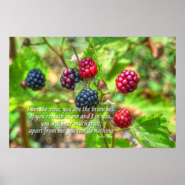 Poster John 15:5 (Frente)