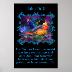Póster John 3:16 Belo pardal colorido do arco-íris