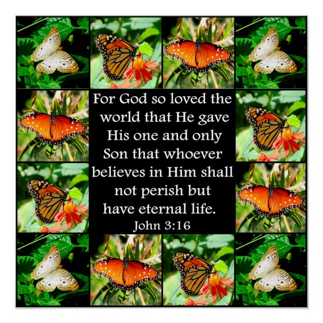 PÓSTER JOHN 3:16 DESIGN DE BORRACHA (Frente)