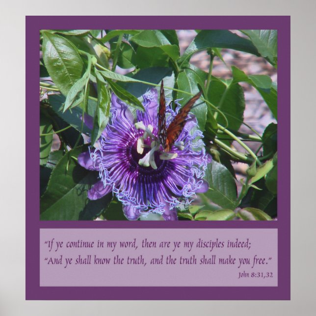 Poster John 8:31, 32 Escritura (Frente)