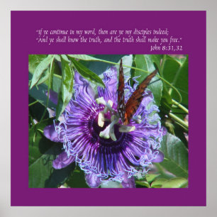Póster John 8 31:32 Impressão/Poster