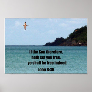 Póster John 8:36